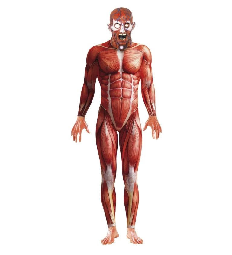 Kostým Anatomy man